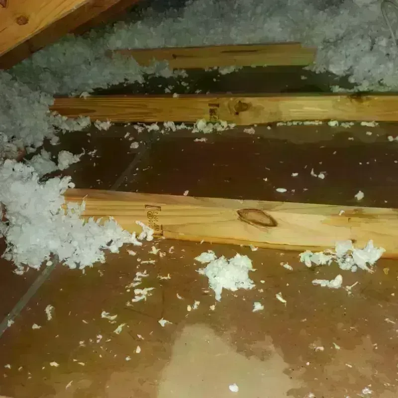 Attic Water Damage in Fox Lake, WI