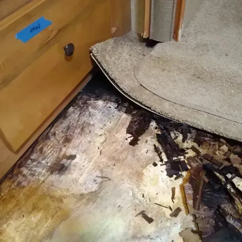 Wood Floor Water Damage in Fox Lake, WI